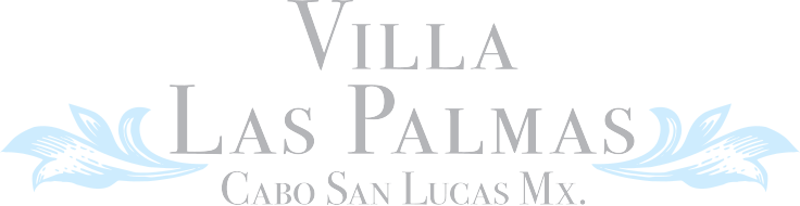 (c) Villalaspalmas.com
